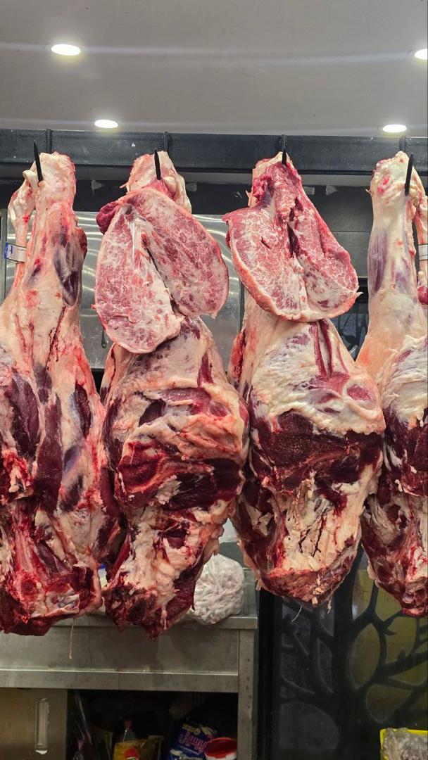 نمونه شماره5