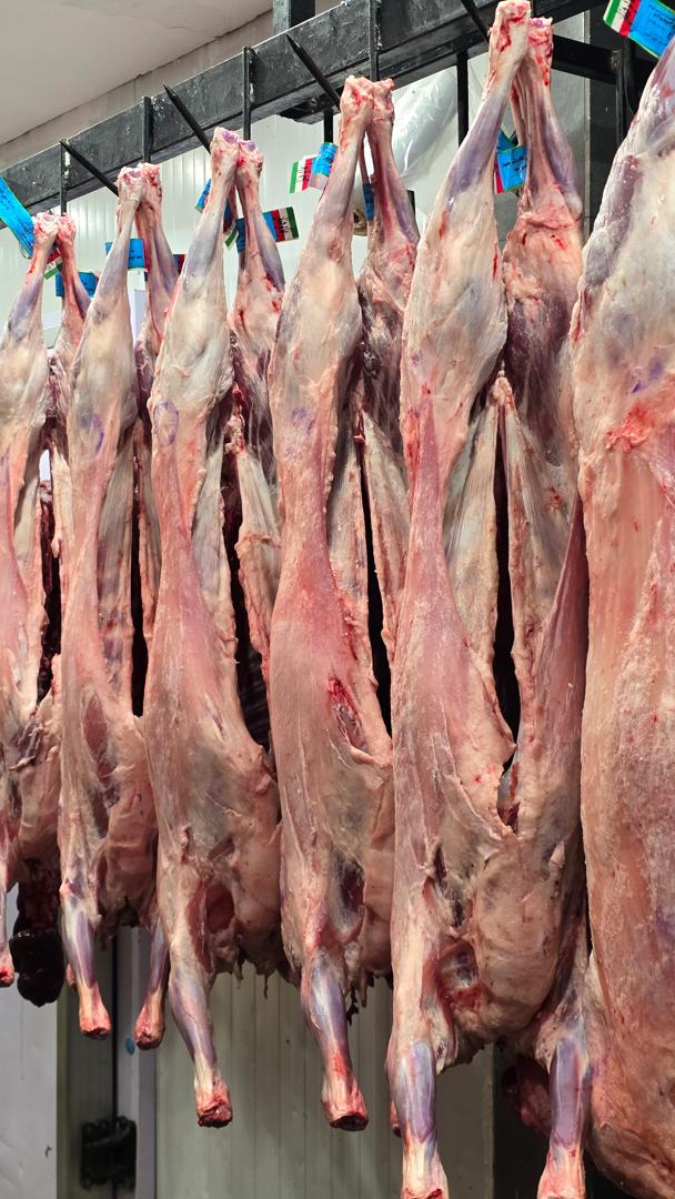 نمونه محصول